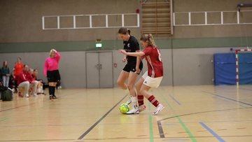 Bild 6 - Videos